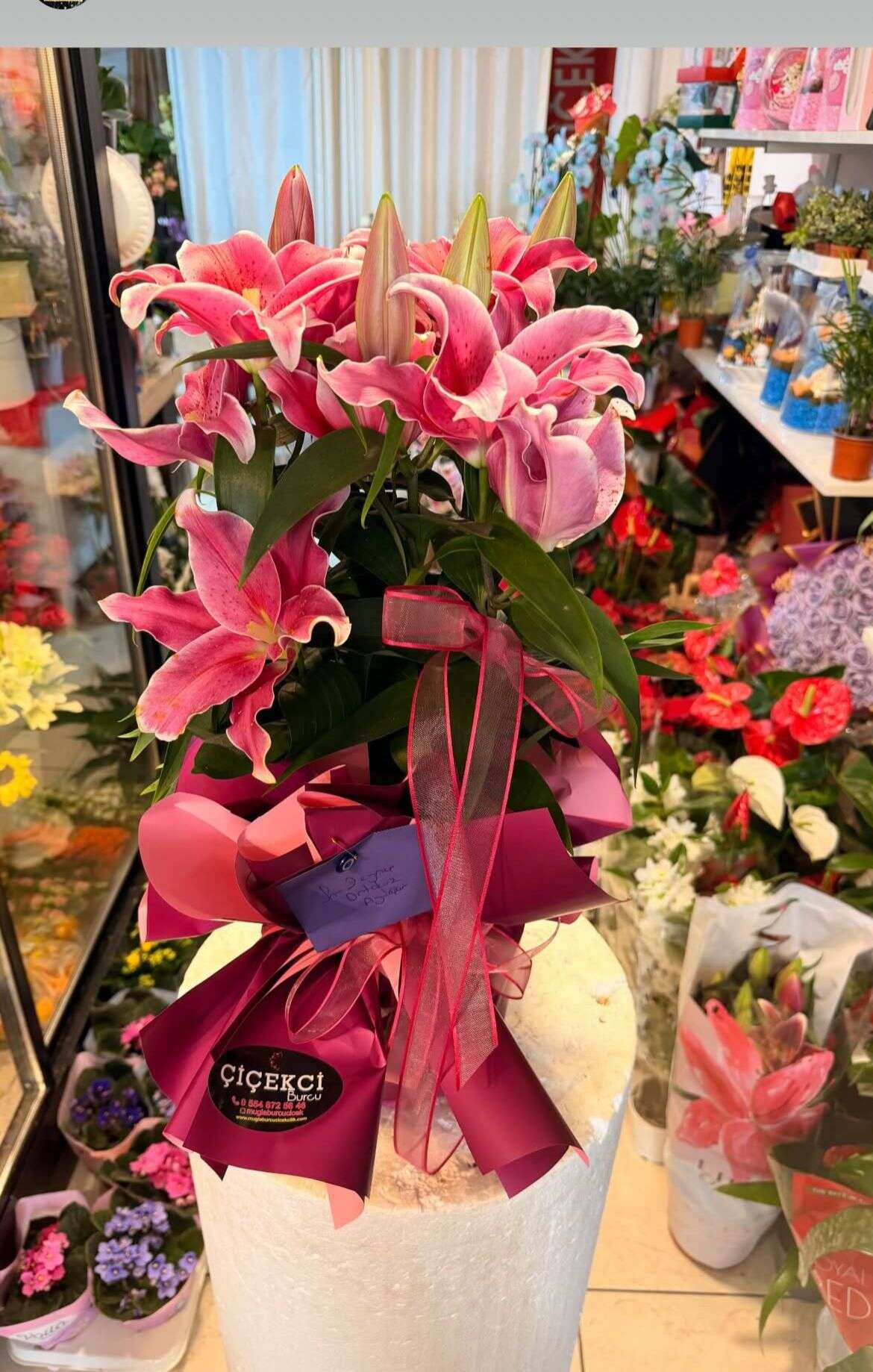 Öğretmenler Günü Öncesi Muğla'da Çiçekçilerde Yoğunluk: Karanfil ve Orkide Zirvede 7